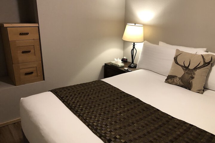 Room 28 of 49