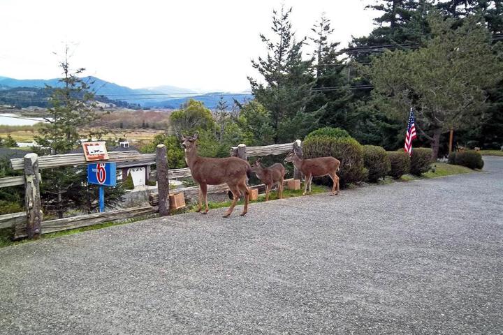 Motel 6 Gold Beach OR