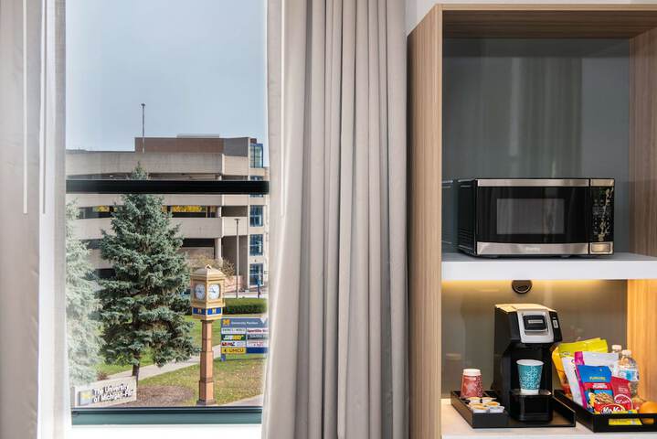 Hilton Garden Inn Flint Downtown