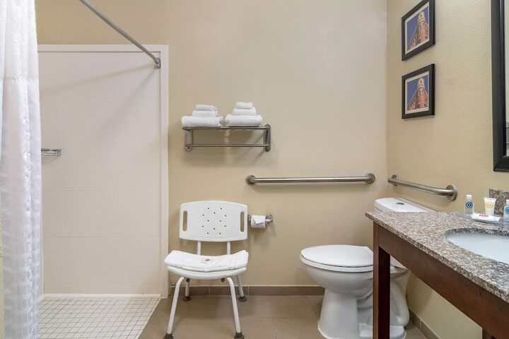 Comfort Inn & Suites Macon North I-75