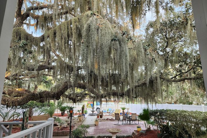 Tybee Island Inn