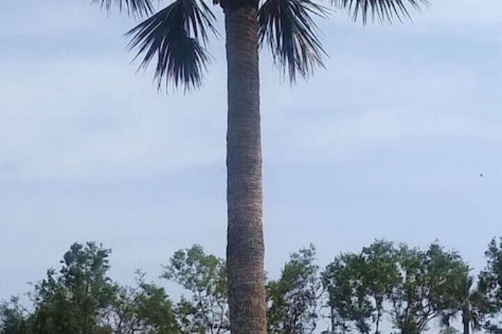 Gulf Coast Inn