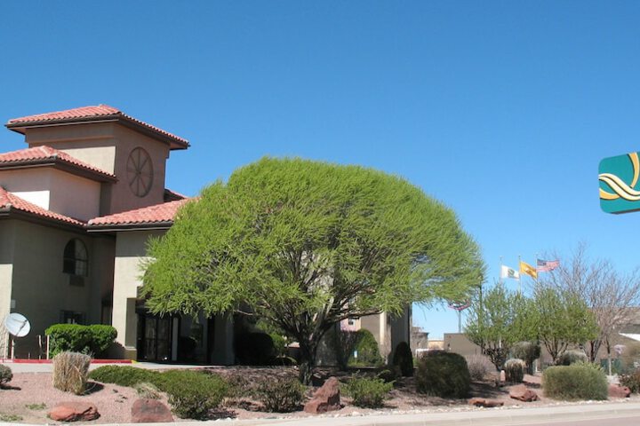 Hotel 5 of 88