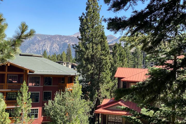 Hotel 5 of 60