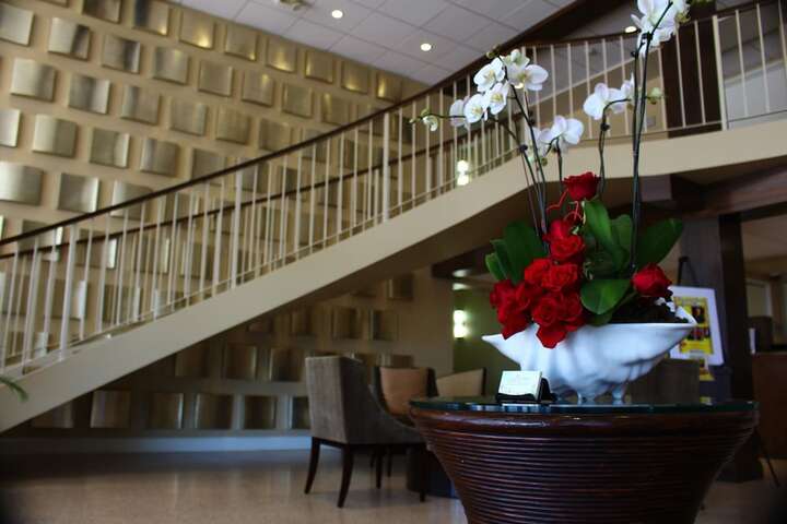 Hotel 5 of 44
