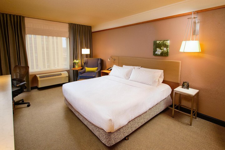Hilton Garden Inn Rochester Downtown MN