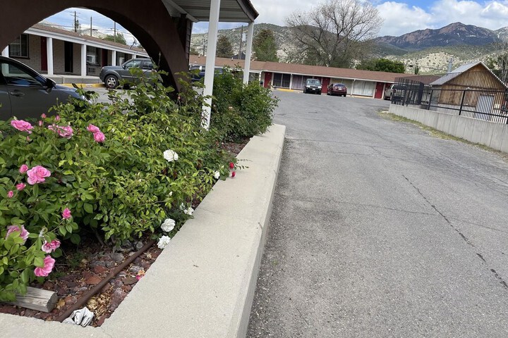 Safari Motel