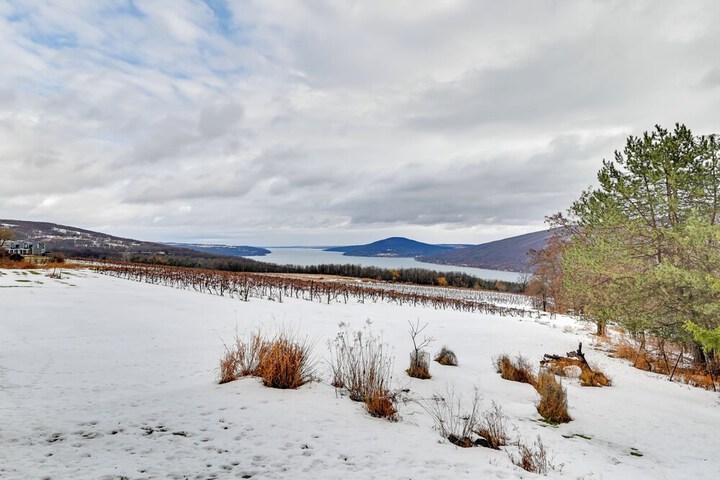 Near Canandaigua Lake: Retro Cabin w / Deck & Views