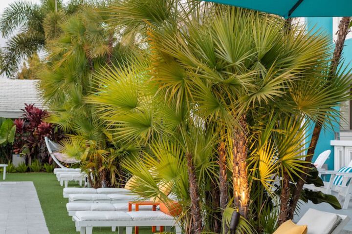 Sundeck 61 of 67