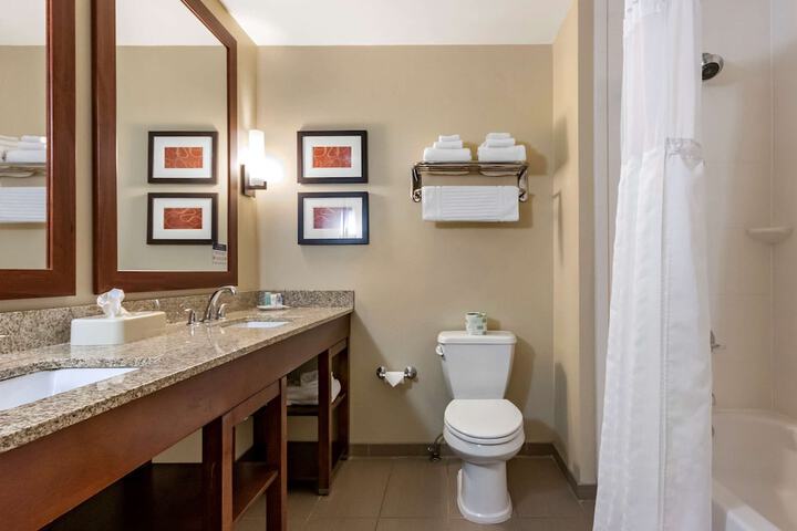 Comfort Suites Airport - University