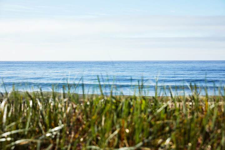 Marram