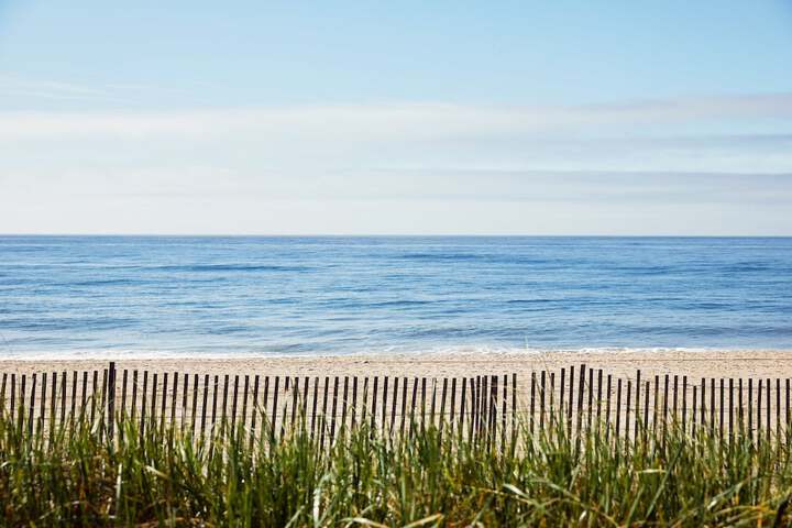 Marram