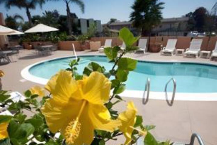 Pool 3 of 14