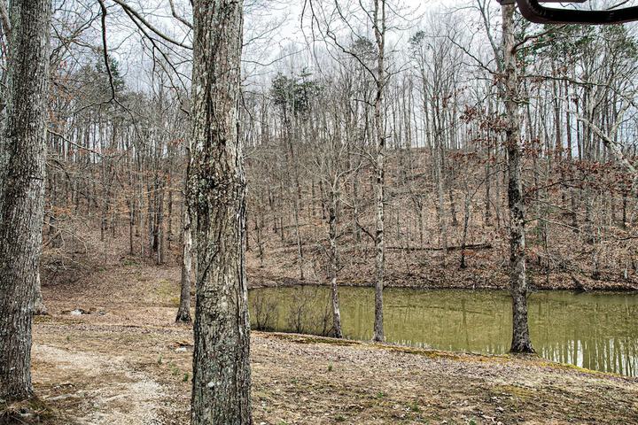 Newly Listed-Private 25-Acre Escape Near Red River Gorge