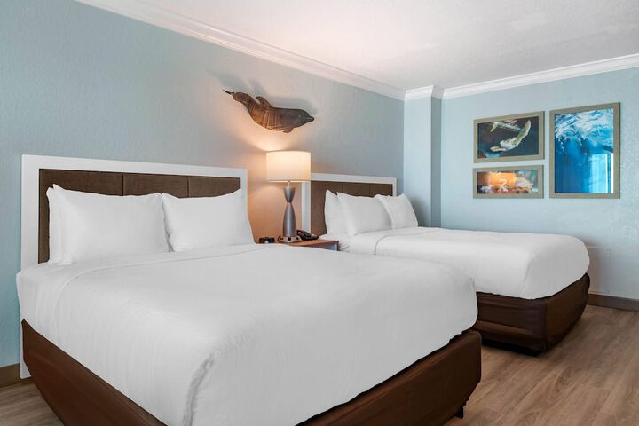 Dolphin Sands Clearwater Beach an Ascend Collection Hotel