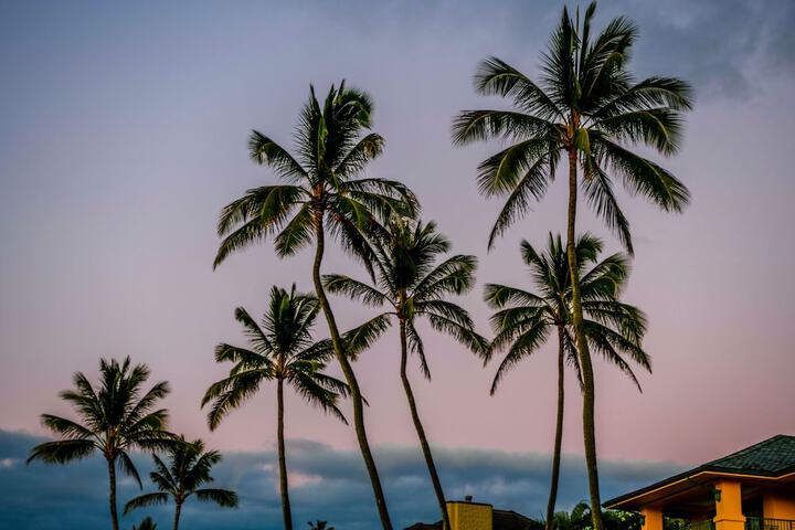 The Ritz-Carlton Maui Kapalua