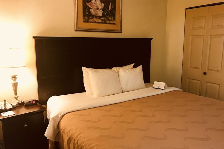 Quality Inn & Suites Conference Center Statesboro Historic District