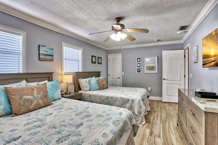 Sea Shell 14 - Premier