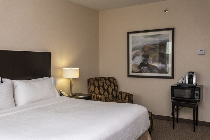 Holiday Inn Sydney - Waterfront by IHG