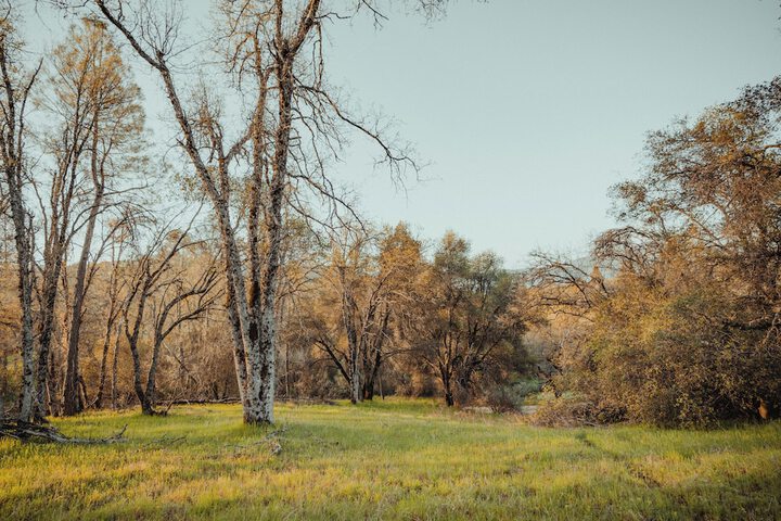 Sierra Sky Ranch