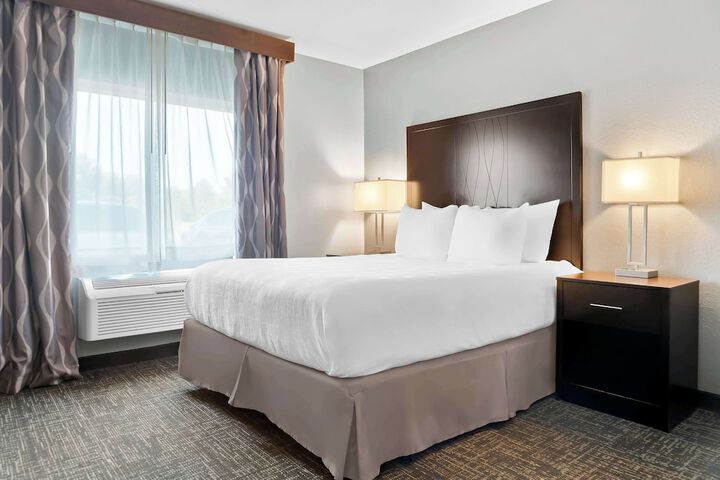 Best Western Plus Flint Airport Inn & Suites