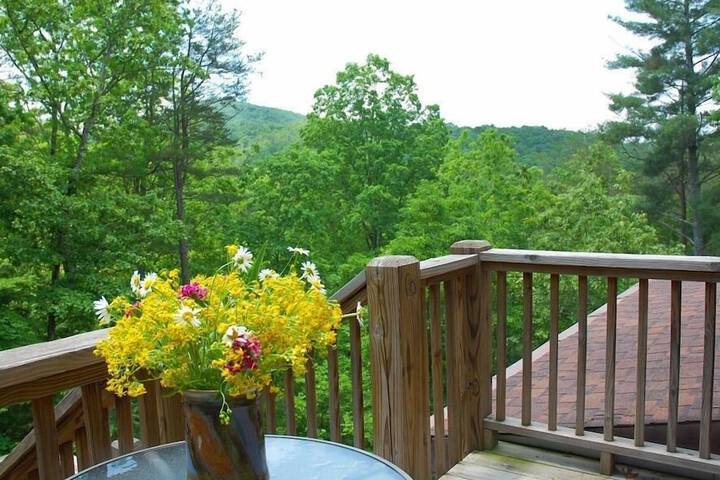 Terrace/Patio 45 of 51