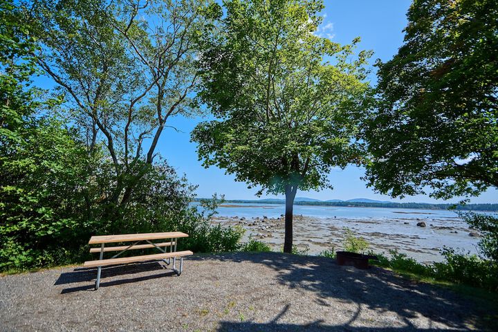 Narrows Too Camping Resort