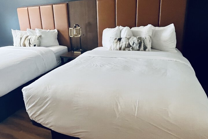 Room 75 of 84