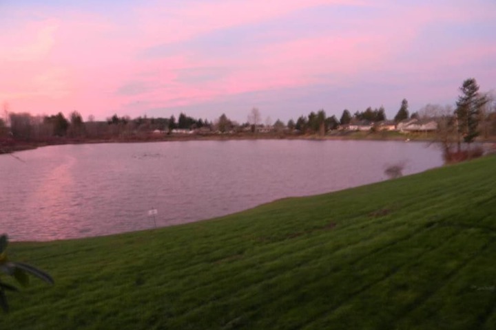 Property Grounds 20 of 23