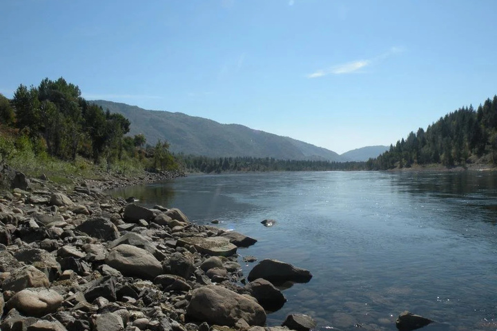 The River Haus Bed and Breakfast