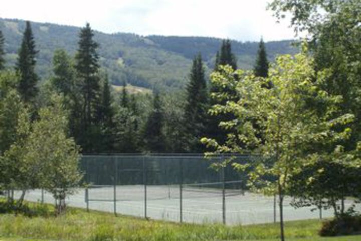 BRETTON WOODS CONDOS BY BRETTON WOODS VA