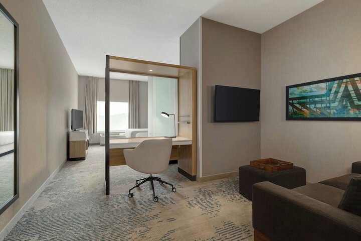 SpringHill Suites by Marriott Roanoke