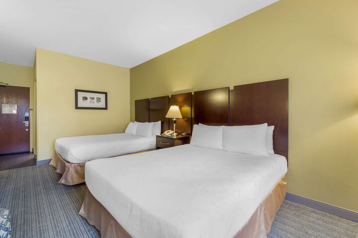 Room 15 of 40