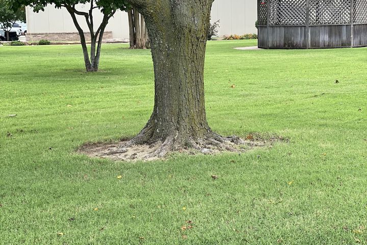 2 of 29