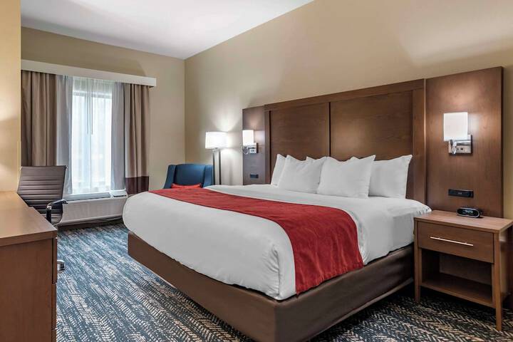 Comfort Inn & Suites Downtown near University