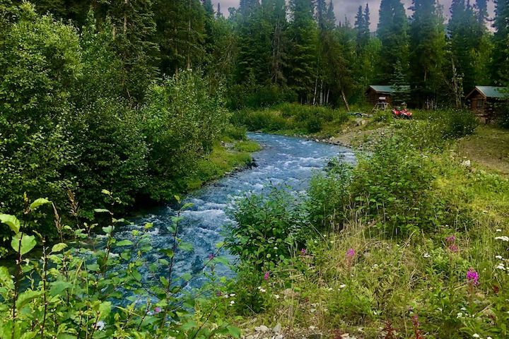 Carlo Creek Cabins