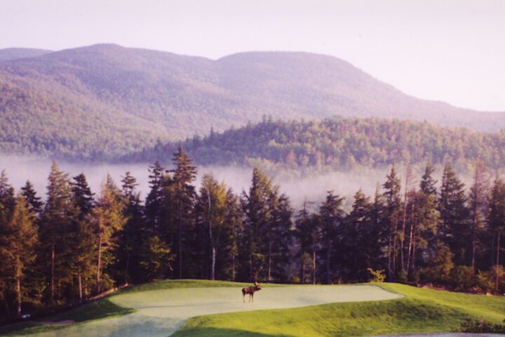 Golf 31 of 36