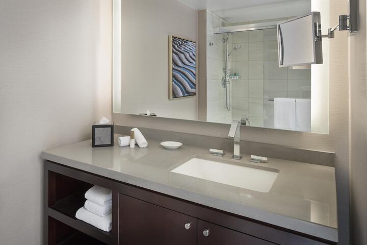 Hyatt Regency San Francisco Airport