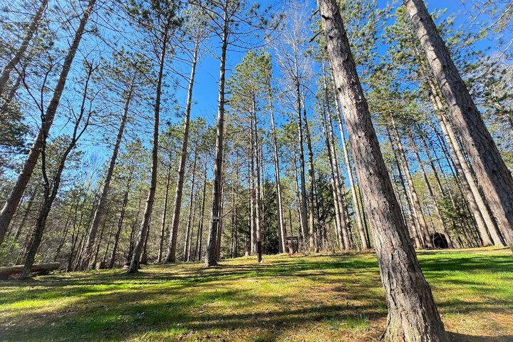 Boyers Pond Campground