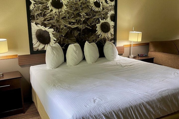 Super 8 by Wyndham New Hampton