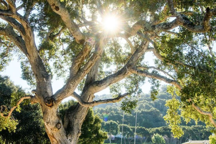 Carmel Valley Ranch in The Unbound Collection by Hyatt