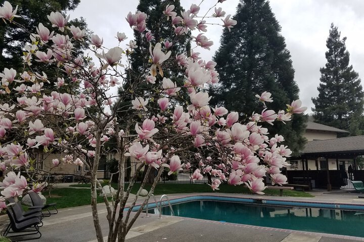 Pool 5 of 29