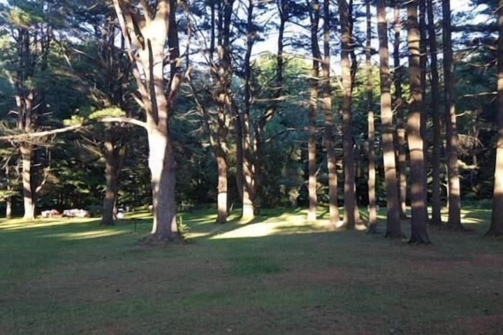 Property Grounds 44 of 57
