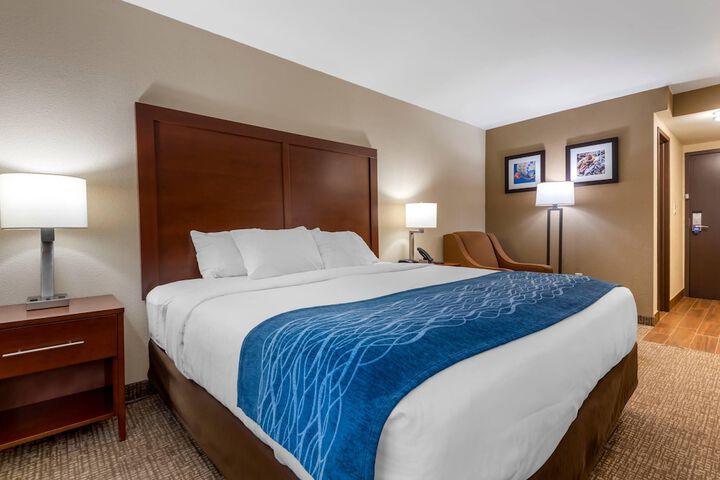 Comfort Inn Binghamton I-81