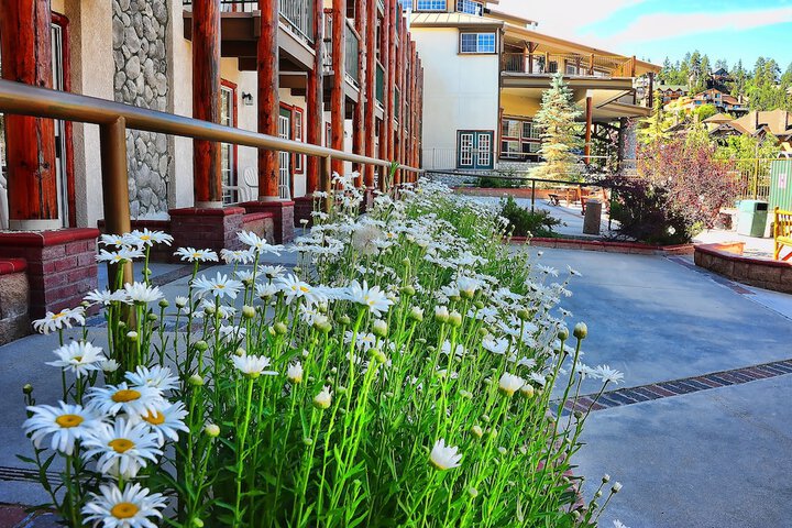 Holiday Inn Resort The Lodge at Big Bear Lake by IHG