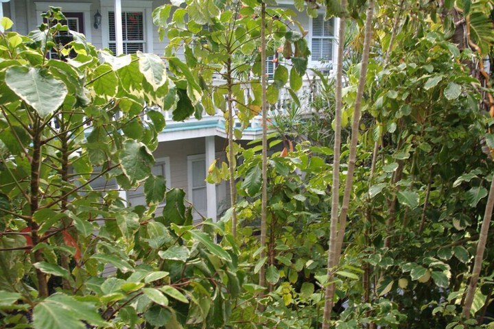 Property Grounds 38 of 38