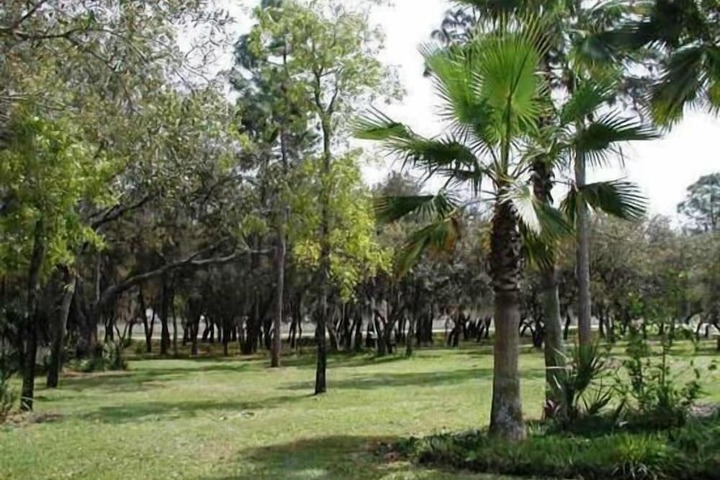 Property Grounds 38 of 38