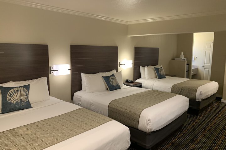 Room 25 of 55