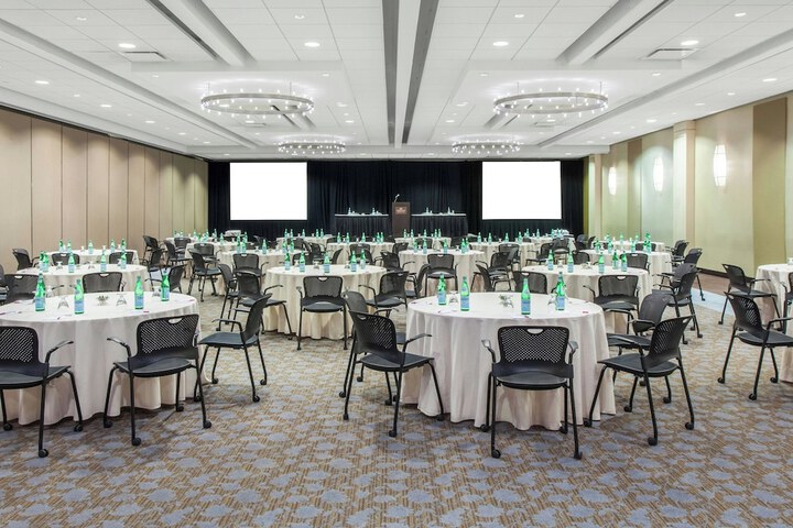 Crowne Plaza Chicago Ohare Hotel & Conf Center by IHG