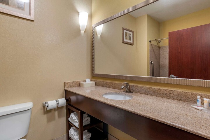 Comfort Suites Airport South
